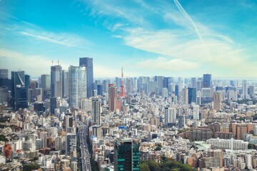 Panoramic view of metropolitan Tokyo