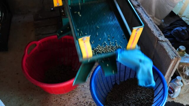 Milling process for grading coffee beans