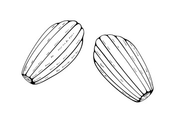 マドレーヌの線画セット