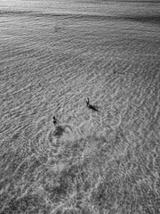 Girls in the ocean 