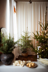 Christmas trees and fir tree branches with popcorn and caramel nuts