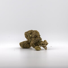 Cannabis / CBD fotografiert auf neutralem Hintergrund