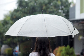 Woman is Walking in The Rain With an Umbrella