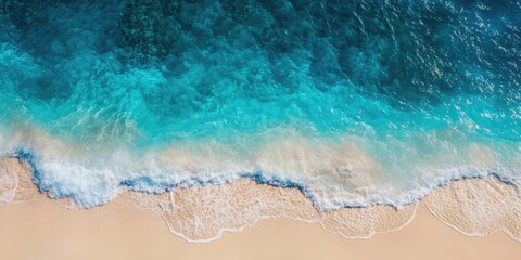 Fototapeta premium sandy beach and blue ocean water with copy space for your text or image