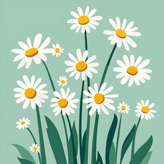 Simple flat chamomile flowers with white petals and yellow centers, surrounded by green stalks