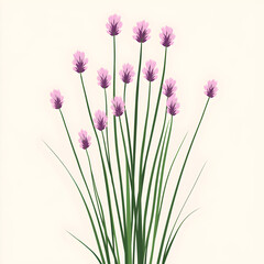 Thin, flat chive stalks with delicate purple flowers, arranged in an upward fan