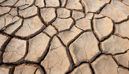 An enlarged picture of the dry, cracked land