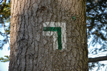 Fototapeta premium marking on the tree trunk of the trails red, blue green to Pilsko