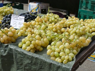 Bunches of fresh white grapes for sale at farmers market