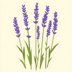 Fototapeta premium Stylized lavender stalks with flat purple flower spikes and green stems