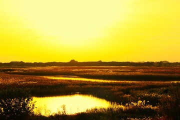 厳かな静かな夕方　秋の河川敷　渡良瀬