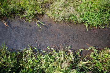 Top view of water irrigation for watering paddy field around a village in Yogyakarta, Indonesia