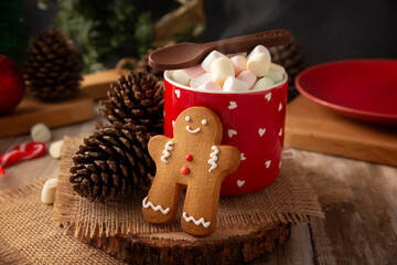 Hot chocolate. Traditional Christmas and winter drink, made with milk and cocoa and served with a marshmallow topping.