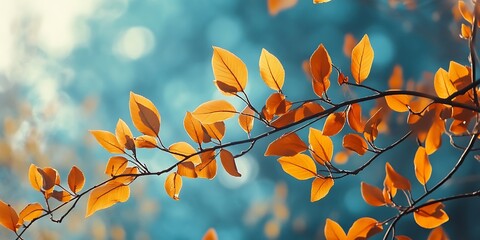 Autumn Branch with Orange Leaves
