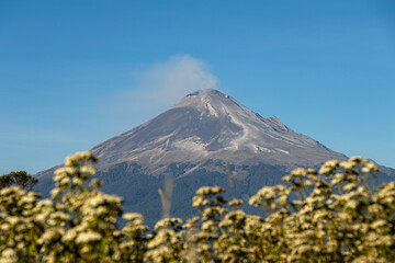 Fototapeta premium Popocatepetl Volcano registers a collapse on one of its faces. It presents constant ash activity. It remains in yellow alert phase 2