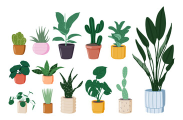 Potted plants set. Interior houseplants in planters, baskets, flowerpots. Home indoor green decor.