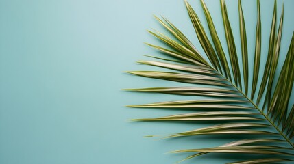 Fototapeta premium Palm leaf on green blue background with space for text