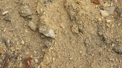 Close-Up Texture of Sandy Soil with Small Rocks and Debris