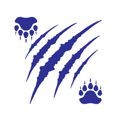 vector illustration of bear paw marks