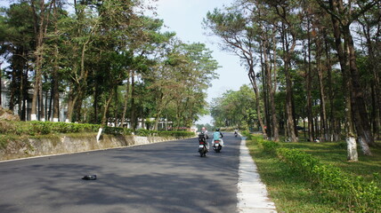 Motorcyclists Riding on a Scenic Tree-Lined Road