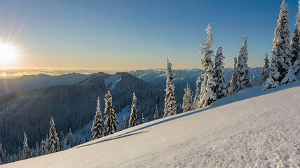 Olympic National Park's winter scenes at Hurricane Ridge, where skiers and snowshoers enjoy fresh powder and breathtaking views

