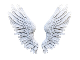 Obraz premium Elegant white angel wings isolated on black. transparent background