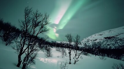 Intense Aurora with Green and Pink Light Above Snow-Covered Winter Forest