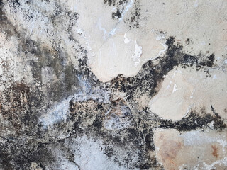 Vintage cement background in an old house.