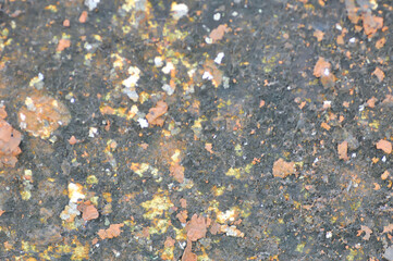 wall or fence, old wall or old fence or cement wall or brown wall , brown background  or brown texture