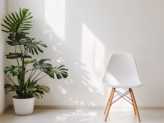 White chair and potted plant in a minimalist room