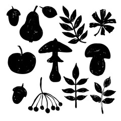 Mushrooms, leaves and fruits in woodcut style. Minimalistic textured hand-drawn illustration.