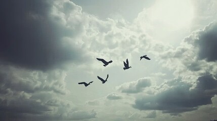 Birds flying in the sky with clouds in the background