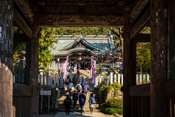 筑波山神社　髄神門