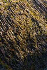 清津峡の柱状節理