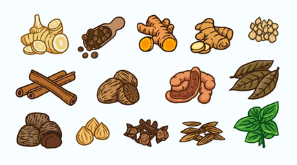 herbs and spices illustration, traditional cooking spices. Pepper Turmeric, Ginger, Garlic, Shallot, Coriander, Cumin, Candlenut, Cinnamon, Nutmeg