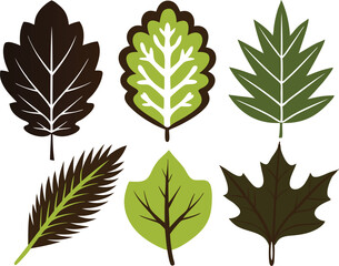 Obraz premium Vector Silhouette Icon Set of Oak and Summer Leaves in Green Tones
