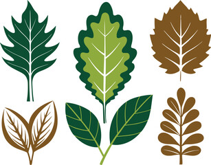 Vector Silhouette Icon Set of Oak and Summer Leaves in Green Tones