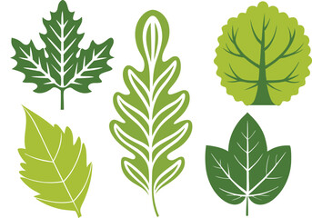 Vector Silhouette Icon Set of Oak and Summer Leaves in Green Tones