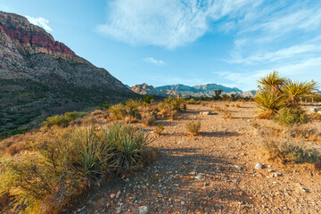 Lost creek trail in the Red Rock Canyon National Conservation Area at sunset. Nevada