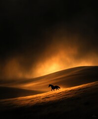 A Majestic Horse in Silhouette Gallops Through a Golden Sunset, Capturing the Essence of Freedom and Grace Amidst a Stunning Landscape.
