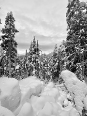 Snow in the Mountains 
