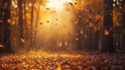 Autumn Leaves Falling in the Forest