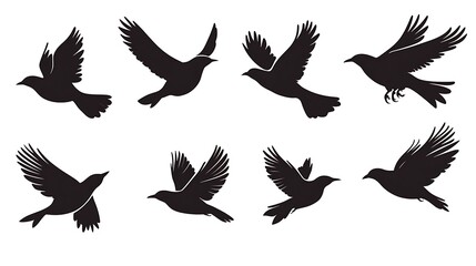 Obraz premium Silhouettes of Birds in Flight