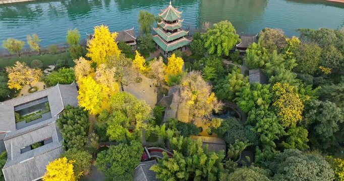 aerial view of Wangjianglou Park,   Wangjiang Tower Park in autumn day with colorful ginko tree at Chengdu Sichuan China