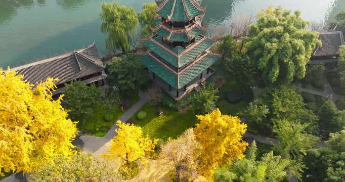 aerial view of Wangjianglou Park,   Wangjiang Tower Park in autumn day with colorful ginko tree at Chengdu Sichuan China