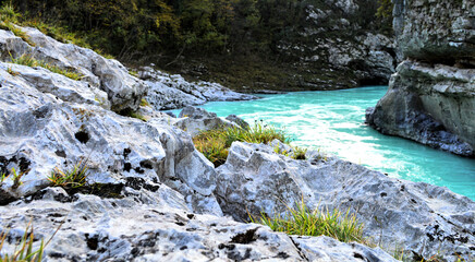 waterfall in the forest