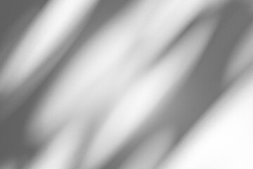 Wall interior background, studio and backdrops show products.with shadow from window color white and grey. background for text insertion and presentation product