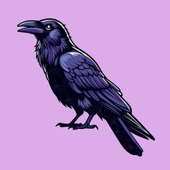 Crow Vector Illustration