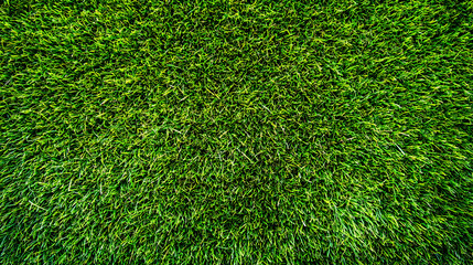 Obraz premium A Close-Up View of Lush Green Grass Blades, A Natural Texture for Backdrop Design