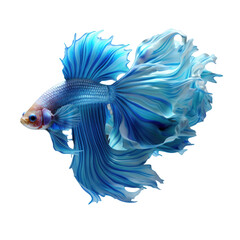 Obraz premium cute 3d cartoon betta fish with funny pose isolated on transparent background